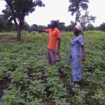 Babelle Increases her Knowledge in Soya Production