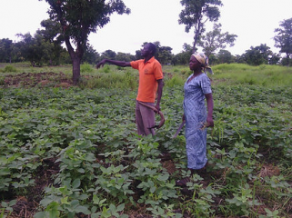 Babelle Increases her Knowledge in Soya Production